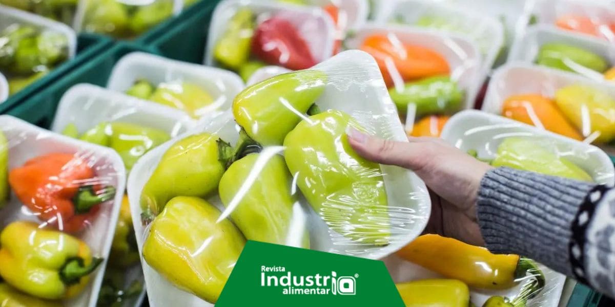 Bandejas para transporte de alimentos sus tipos y utilidades en la industria alimentaria